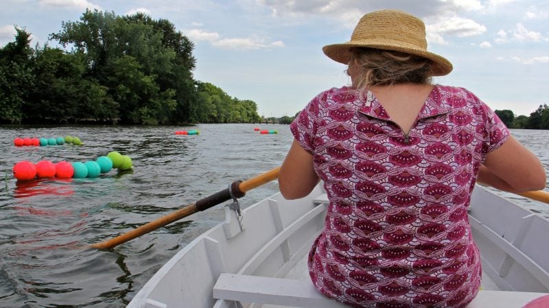 Stacy Levy uses a small rowboat to check on her tide buoy installation on the Schuylkill River. (Emma Lee/WHYY)