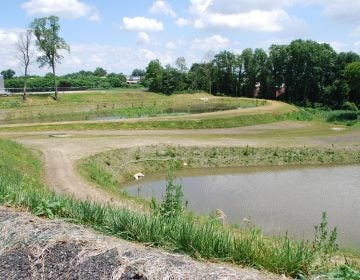 A new stormwater basin in Northeast Philadelphia will reduce runoff into the city's sewer system.