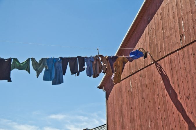 The Stoltzfus farm in Peach Bottom, Pa. (Kimberly Paynter/WHYY)