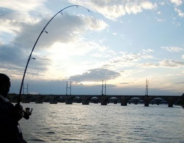 A fisherman along the banks of the Susquehanna River. Two senior state environmental officials say there is no link between gas drilling and problems with the river's smallmouth bass population. (Carolyn Kaster/AP Photo)