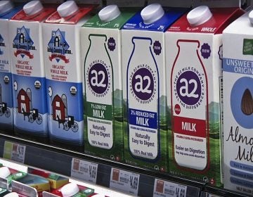 In this Friday, May 18, 2018 photo, A2 milk is displayed on the shelf at The Fresh Market in Latham, N.Y. So-called A2 milk is showing up on more supermarket shelves. (Michael Hill/AP Photo)