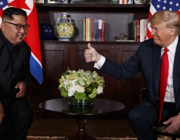 President Donald Trump meets with North Korean leader Kim Jong Un on Sentosa Island, Tuesday, June 12, 2018, in Singapore. (Evan Vucci/AP Photo)