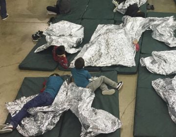In this photo provided by U.S. Customs and Border Protection, people who've been taken into custody related to cases of illegal entry into the United States, rest in one of the cages at a facility in McAllen, Texas, Sunday, June 17, 2018.