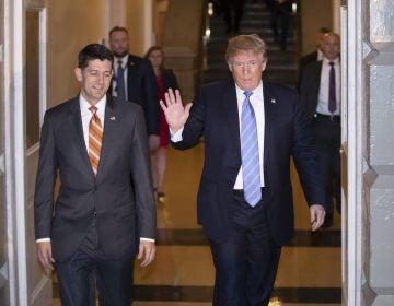 Speaker of the House Paul Ryan, R-Wis., left, walks with President Donald Trump as they head to a meeting of House Republicans to discuss a GOP immigration bill at the Capitol in Washington, Tuesday, June 19, 2018.