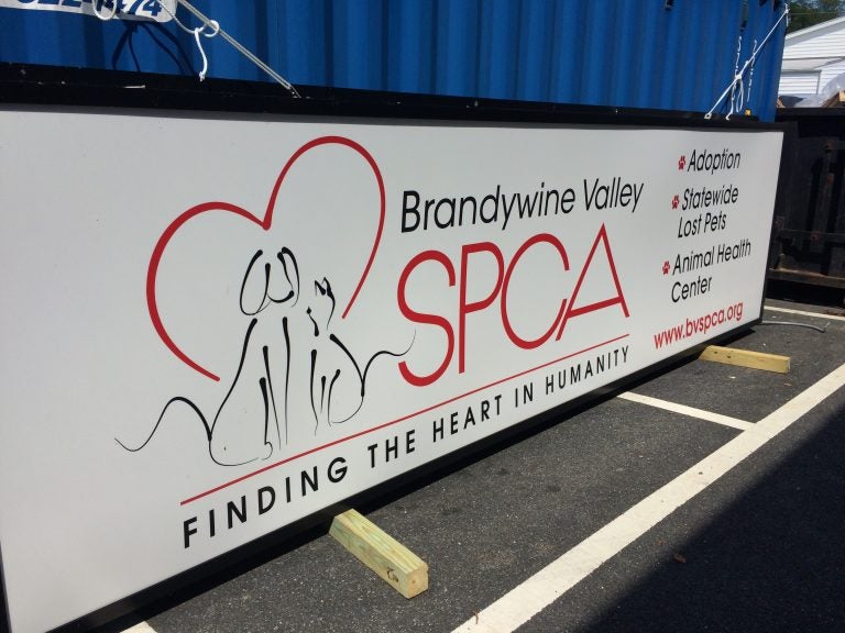 Brandywine Valley SPCA has shelters in West Chester, Pennsylvania, New Castle and Georgetown, Delaware. (Shirley Min/WHYY)