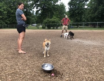 Owners watch as their dogs play Tuesday at Talley Day Bark Park north of Wilmington. No leashes are required at bark parks. (Shirley Min/WHYY)