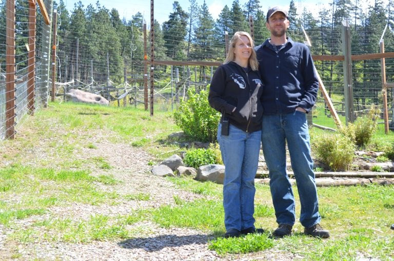 Diana Goodrich and JB Mulcahy are the directors of the Cle Elum Chimp Sanctuary, home to seven chimpanzees once used in biomedical research. (Eilís O’Neill)