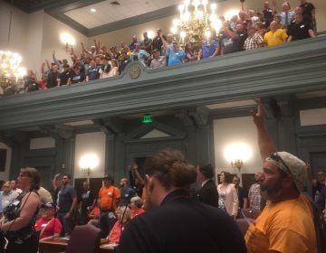 Gun supporters filled the Senate chamber of Legislative Hall in Dover Wednesday to oppose a bill banning some assault weapons. (WHYY/Zoe Read)
