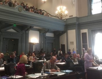 The General Assembly voted to pass an Equal Rights Amendment. (WHYY/Zoe Read)