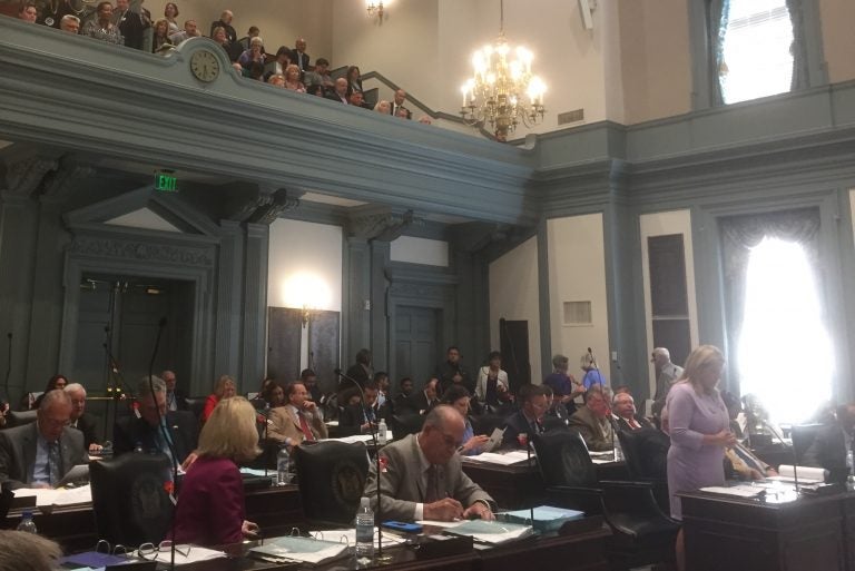 The General Assembly voted to pass an Equal Rights Amendment. (WHYY/Zoe Read)