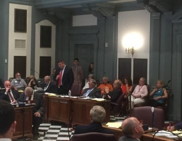 Legislation to ban certain assault-style weapons in Delaware failed to win approval for a vote on the Senate floor Tuesday. (Zoë Read/WHYY)