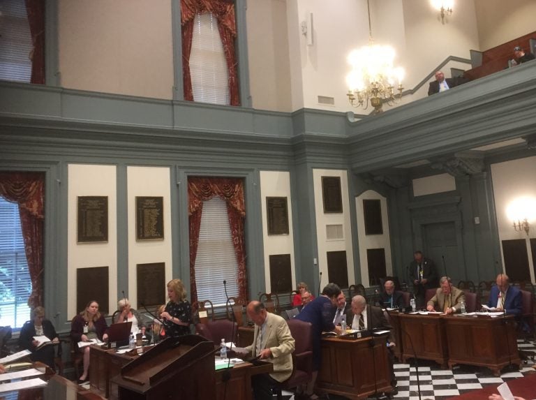 Delaware lawmakers approved paid family leave for state workers (Zoe Read/WHYY)