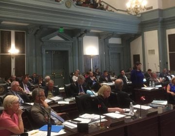 Members of the Delaware House discuss the FY 2019 budget bill, which was approved surprisingly  early. (Zoë Read/WHYY) 