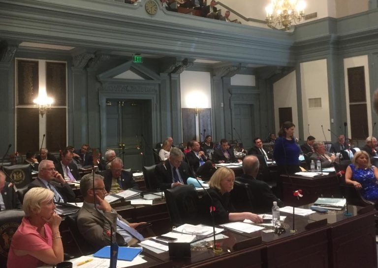 Members of the Delaware House discuss the FY 2019 budget bill, which was approved surprisingly  early. (Zoë Read/WHYY) 