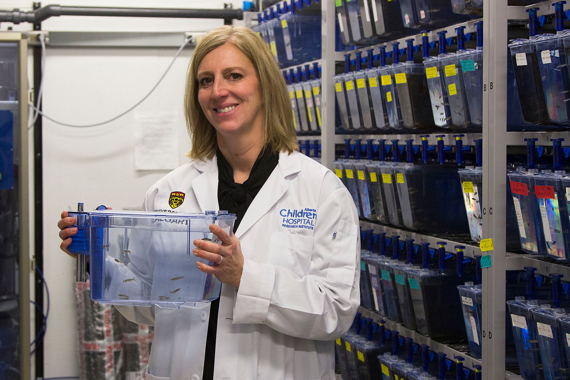 Neuroscientist Deborah Kurrasch, pictured with zebrafish used to create larva modified to have epilepsy. Kurrasch’s lab houses up to 4,500 breeding zebrafish at once