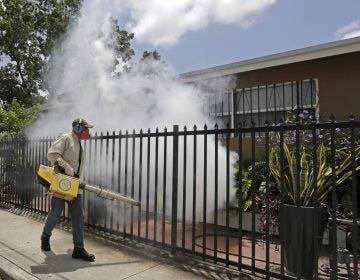 A Miami-Dade County mosquito control worker sprays around a home in August 2016 in the Wynwood area of Miami. A University of Florida study recently identified the first known human case of the mosquito-borne Keystone virus. (Alan Diaz/AP)