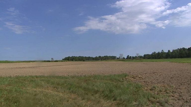 In hopes of getting farmers some financial relief from the loss of early-season crops, Delaware Agriculture Secretary Michael Scuse has filed an emergency disaster declaration with the USDA’s Farm Service Agency. (WHYY file)