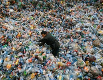 A worker sorts plastic bottles at a recycling center in China. (Jie Zhao/Corbis via Getty Images)
