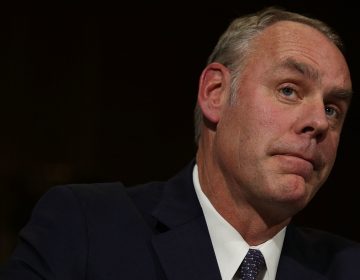 Interior Secretary Ryan Zinke at his confirmation hearing last year. (Alex Wong/Getty Images)