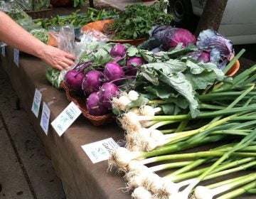 Volunteers and a group of farmers have yielded more than 1.7 million pounds of locally grown produce to Bucks County and beyond for nearly a decade. (Laura Benshoff for The Pulse)