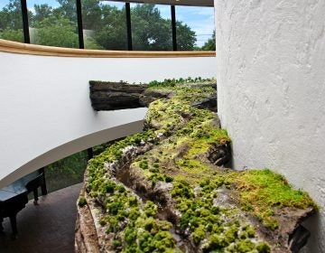 A miniature version of the Brandywine River winds around the spiral staircase in the three-story atrium of the Brandywine River Museum. The commissioned work, by Kathleen Vance, is part of 