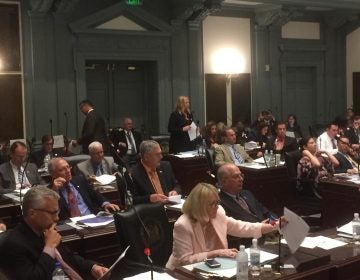 Efforts to legalize marijuana for recreational use were defeated in the Delaware House Wednesday evening. (Zoë Read/WHYY)