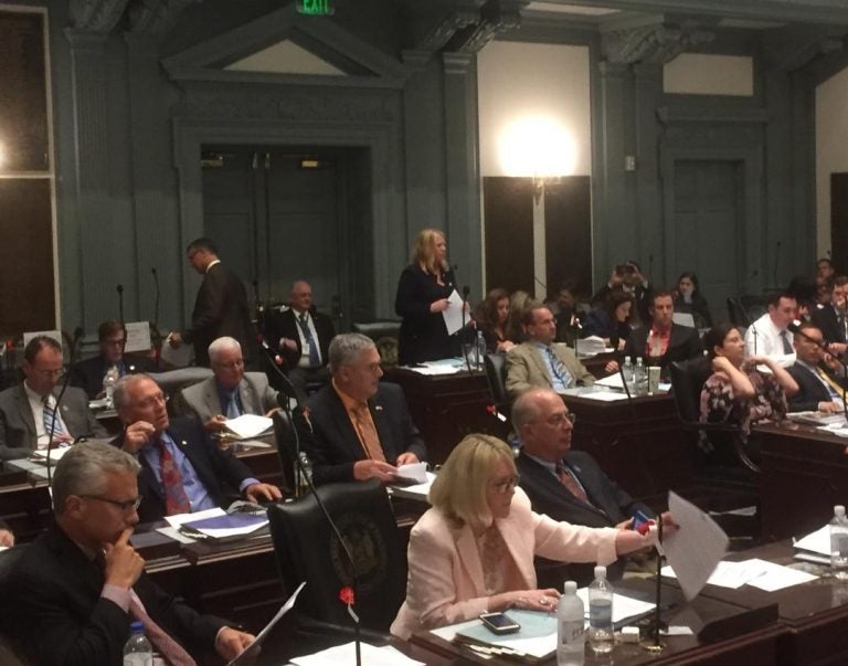 Efforts to legalize marijuana for recreational use were defeated in the Delaware House Wednesday evening. (Zoë Read/WHYY)