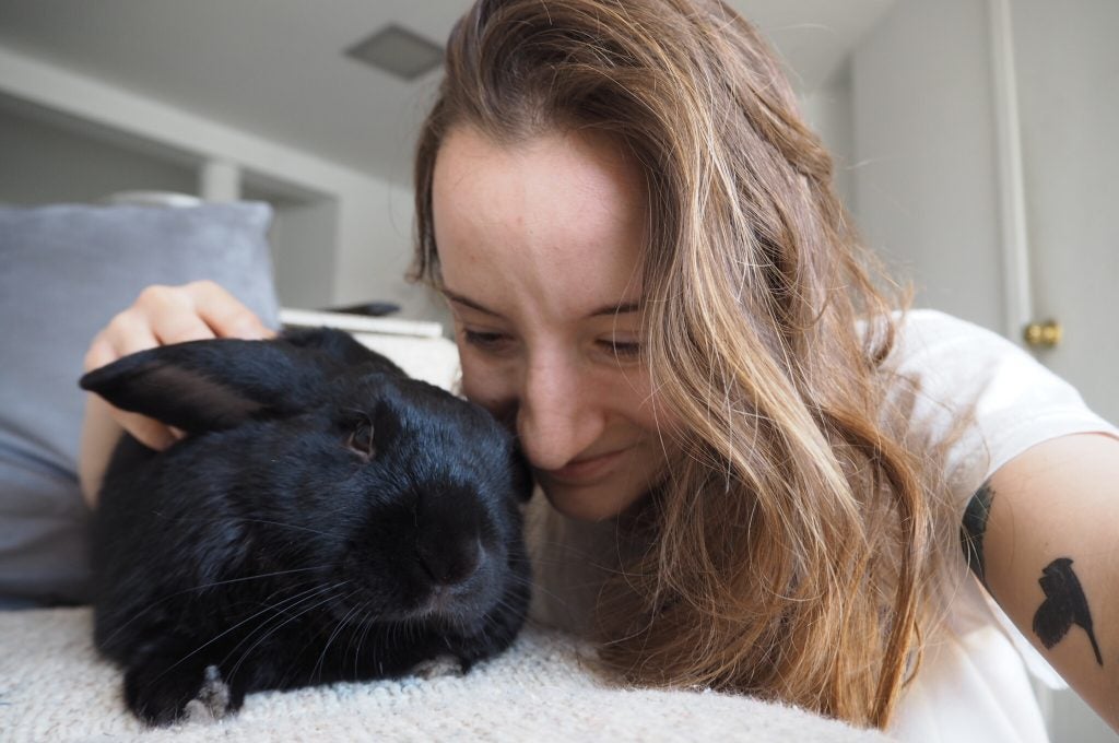 Neuroscientist Ashley Juavinett and her pet rabbit Sherlock. Photo provided by Ashley Juavinett