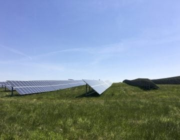 Solar panels in Hanover generate electricity for the Snyder's-Lance snack company. (Amy Sisk/StateImpact Pennsylvania)