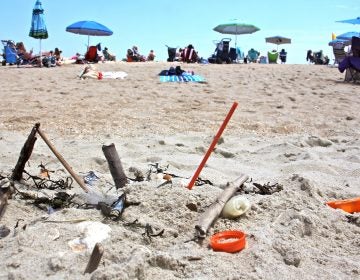 Plastic trash is deposited at the high tide line at Monmouth Beach, New Jersey, where local merchants are banned from using plastic straws, styrofoam food containers, and plastic bags. (Emma Lee/WHYY)