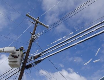 Currently, the federal government has jurisdiction over attachments to telephone poles in Pennsylvania. A proposal from the state Utility Commission would change that. (AP Photo/John Flavell)