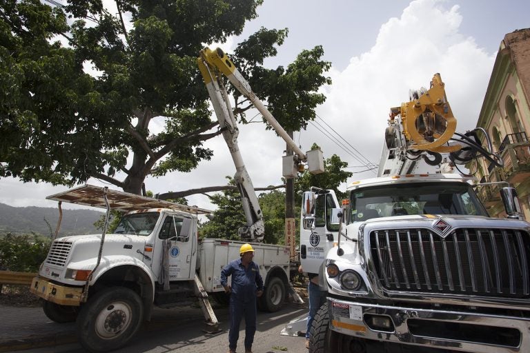 Workers from the power company, PREPA, work on a downed line in Utuado. Branches from a tree fell on the line, breaking it and causing a transformer to explode. (Irina Zhorov/WHYY)