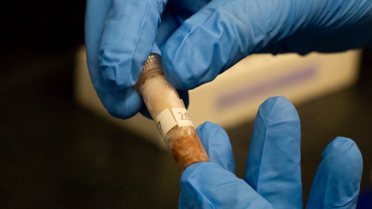 Biologist Jessy Bokvist holds a coho salmon tissue sample in a lab at the University of Calgary in Alberta, Canada. Before DNA can be analyzed, Bokvist has to isolate it from tissue samples. (courtesy of Molly Segal)