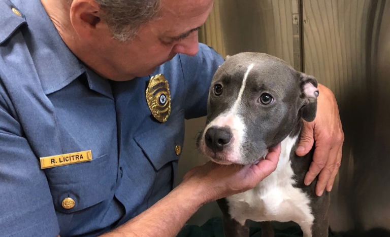 A police officer comforts a pit bill found in a cage next to a tidal waterway in a Jersey Shore town on Monday. (Monmouth County Prosecutor's Office image)