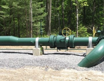 FILE: A natural gas pipeline crosses the Tiadaghton State Forest. (Marie Cusick/StateImpact Pennsylvania)