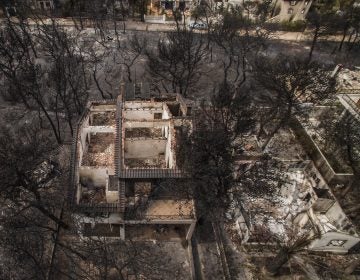 An aerial view shows burned-out houses after a wildfire hit the village of Mati, near Athens. The raging fires have killed at least 50 people in Greece, devouring homes and forests as terrified residents fled to the sea to escape the flames. (Savvas Karmaniolas/AFP/Getty Images)