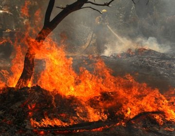 A Cal Fire firefighter mops up hot spots after the Carr Fire moved through the area on Saturday in Redding, Calif. The fire is 5 percent contained. (Justin Sullivan/Getty Images)