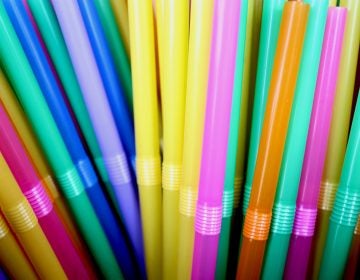 As cities and companies — including Starbucks — move to oust straws in a bid to reduce pollution, people with disabilities say they're losing access to a necessary, lifesaving tool.
(Thn Rocn Khosit Rath Phachr Sukh /EyeEm via Getty Images)