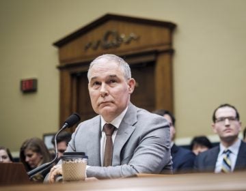 Environmental Protection Agency Administrator Scott Pruitt was among the most controversial of President Trump's original Cabinet-level picks. (Pete Marovich/Getty Images)