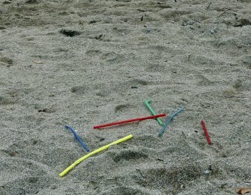 Milo Cress says straws are among the most common disposable plastic items, along with bottle caps, that can be found polluting oceans and beaches. (Milos Bicanski/Getty Images)