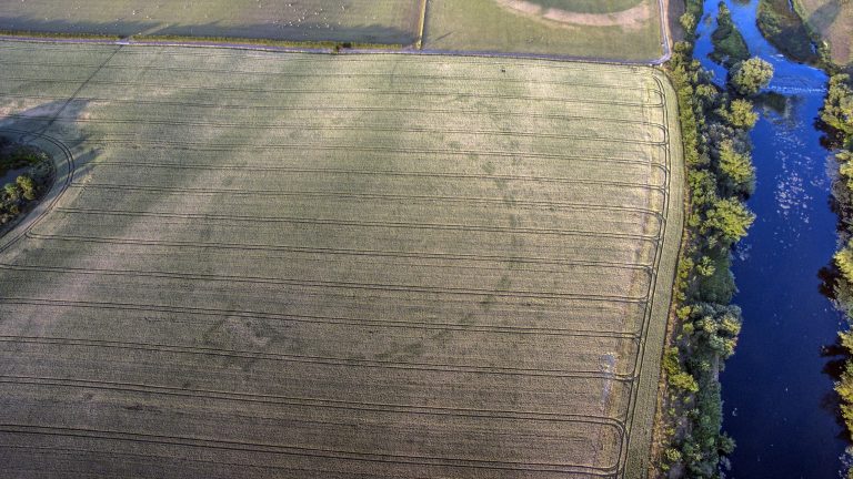 Drone footage captured by Anthony Murphy shows the outline of an ancient henge, visible in the pattern of crops grown in a field near Newgrange, Ireland. (Anthony Murphy/Mythical Ireland)