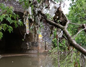 The Wingohocking combined sewer outfall carries storm and sewer water into the Frankford Creek, and trash.