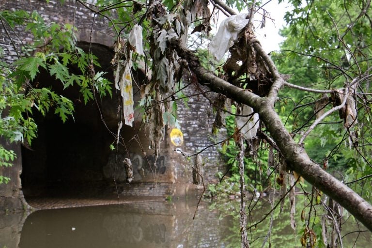 The Wingohocking combined sewer outfall carries storm and sewer water into the Frankford Creek, and trash.