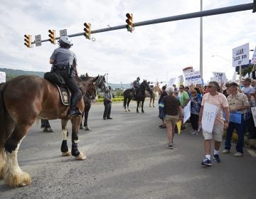 Police on horses gather a crowd of protesters towards the sidewalk on Highland Park Boulevard in Wilkes-Barre, PA. Approximately 300 protesters showed up on August 2, 2018, outside of the Make America Great Again rally. (Natalie Piserchio for WHYY)