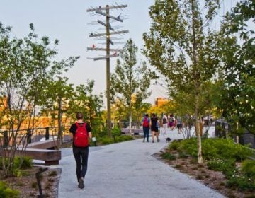 A verdant view of the Rail Park, looking cool on a humid summer evening. (Kimberly Paynter/WHYY)