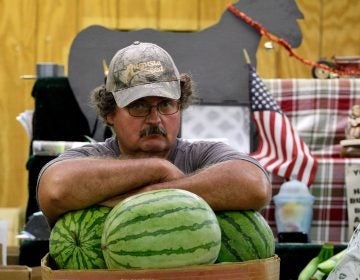 A vendor rests his arms on the melons at a produce stand at Zern's Farmers Market in Gilberstville, Pa.