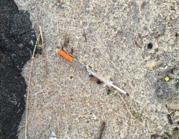 A syringe found on a Monmouth County beach last month. (Photo: Robert Siliato) 