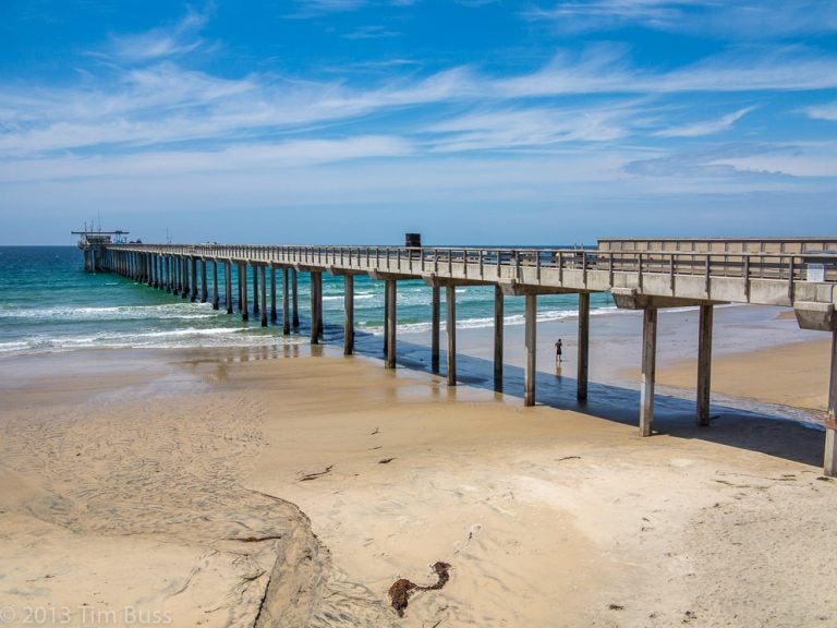 At the Ellen Browning Scripps Memorial Pier in southern California, researchers logged the warmest sea surface temperature in 102 years. (Tim Buss/Flickr)