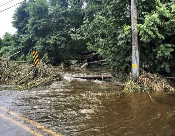 Damage from from Hurricane Lane Friday, Aug. 24, 2018, near Hilo, Hawaii. Hurricane Lane barreled toward Hawaii on Friday, dumping torrential rains that inundated the Big Island's main city as people elsewhere stocked up on supplies and piled sandbags to shield oceanfront businesses against the increasingly violent surf. (Jessica Henricks via AP)