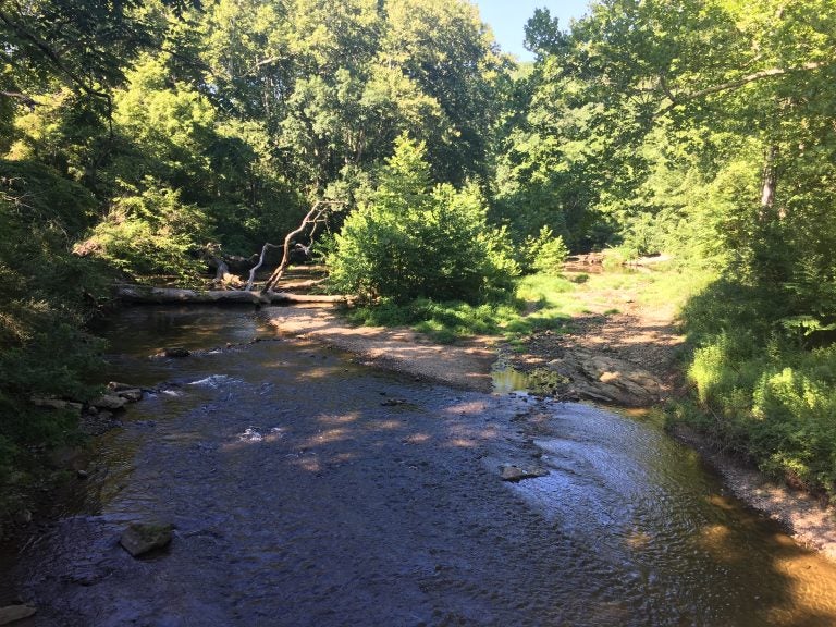 White Clay Creek runs through New Castle County's largest state park. (Mark Eichmann/WHYY)